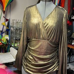 Brand new without tags shimmery gold top from express